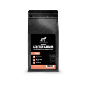 Puppy Scottish Salmon Premium Dog Food