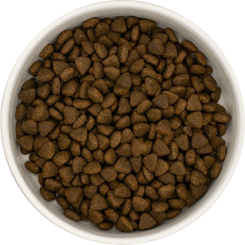 Freshtrusion Dog Kibble