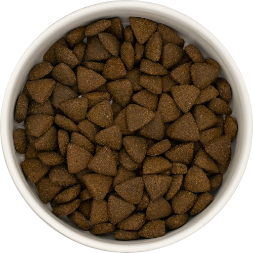 Freshtrusion Dog Kibble