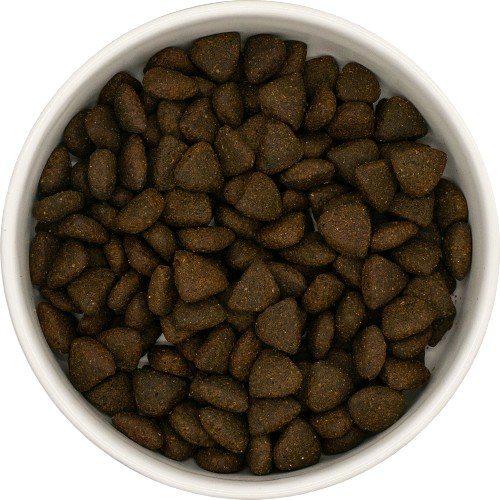 Freshtrusion Dog Kibble