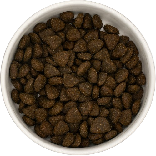 Freshtrusion Dog Kibble