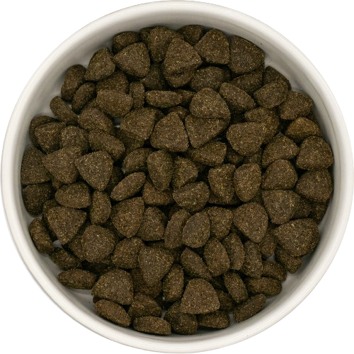 Freshtrusion Dog Kibble