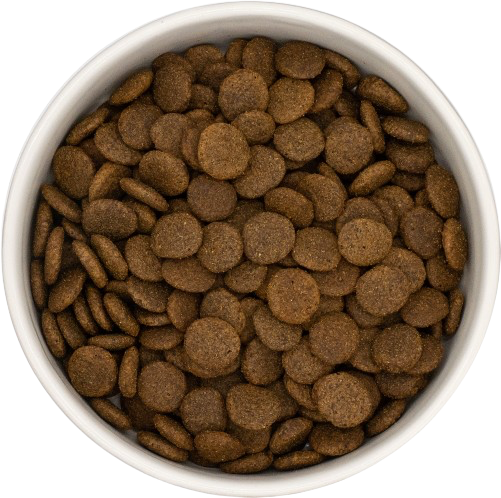 Grain Free Dog Food