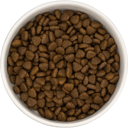 SF65 Kibble